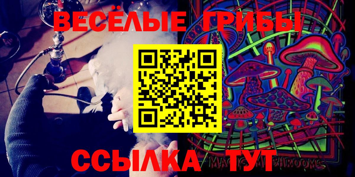 Мыски  Псилоцибиновые грибы GOLDEN TEACHER  Вход с VPN 