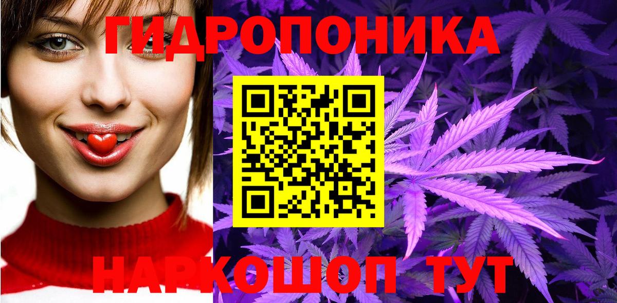 Бошки марихуана Bruce Banner  Вход с VPN  Конопля ГИДРОПОН  Мыски 